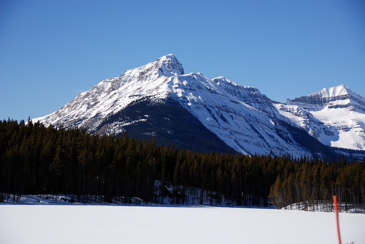 16 Mount Bosworth From Herbert Lake On The Icefields Parkway